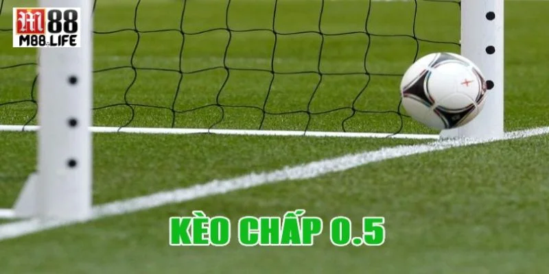Kèo tài nửa trái là dạng kèo chơi hấp dẫn tại nhà cái M88.