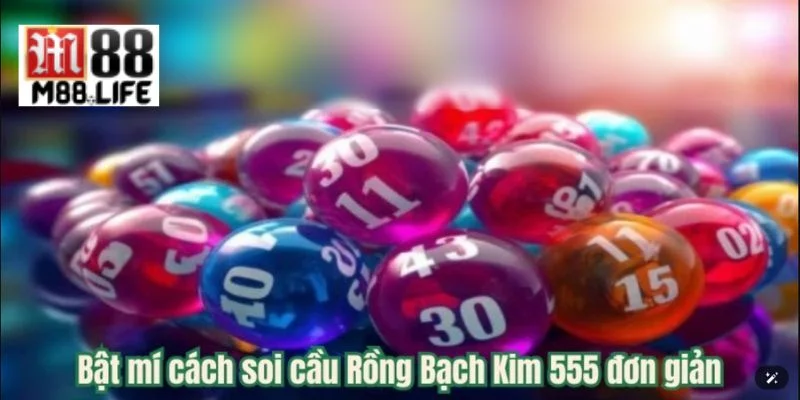 Cần có kiến thức để tham gia soi cầu một cách có hiệu quả. 